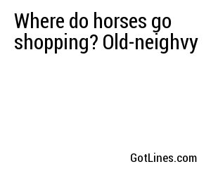 Where do horses go shopping? Old-neighvy