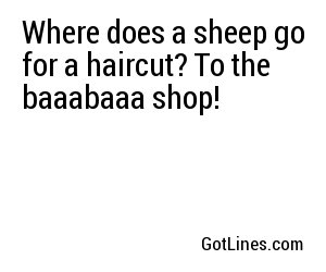 Where does a sheep go for a haircut? To the baaabaaa shop!