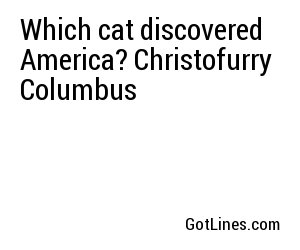 Which cat discovered America? Christofurry Columbus