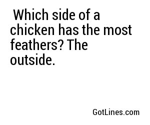  Which side of a chicken has the most feathers? The outside.