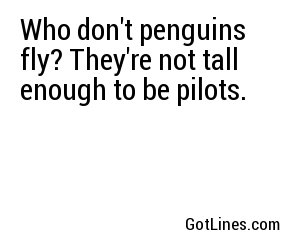 Who don't penguins fly? They're not tall enough to be pilots.
