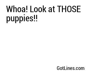 Whoa! Look at THOSE puppies!!