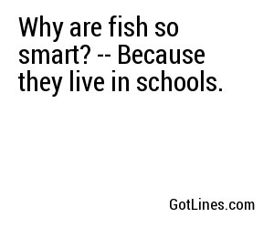 Why are fish so smart? -- Because they live in schools.