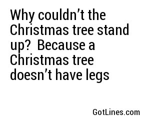 Why couldn’t the Christmas tree stand up?  Because a Christmas tree doesn’t have legs
