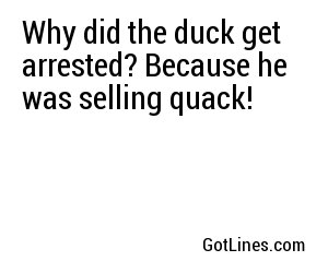 Why did the duck get arrested? Because he was selling quack!