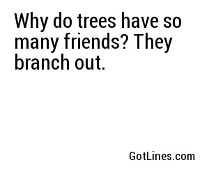 Why do trees have so many friends? They branch out.
