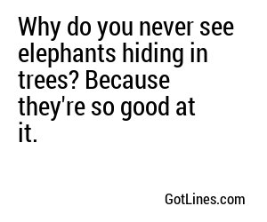 Why do you never see elephants hiding in trees? Because they're so good at it.
