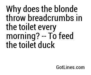 Why does the blonde throw breadcrumbs in the toilet every morning? -- To feed the toilet duck