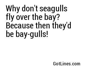 Why don't seagulls fly over the bay? Because then they'd be bay-gulls!
