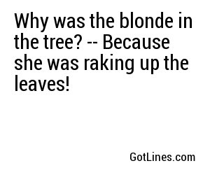 Why was the blonde in the tree? -- Because she was raking up the leaves!