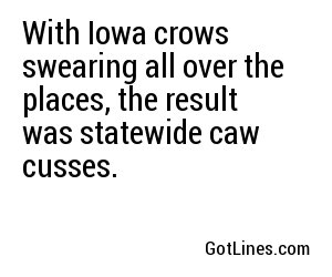With Iowa crows swearing all over the places, the result was statewide caw cusses.
