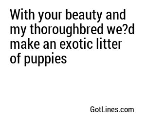 With your beauty and my thoroughbred we?d make an exotic litter of puppies

