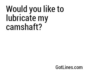 Would you like to lubricate my camshaft?
