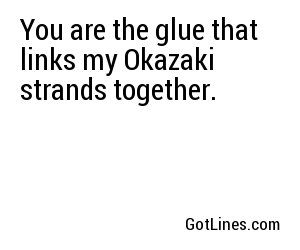 You are the glue that links my Okazaki strands together.