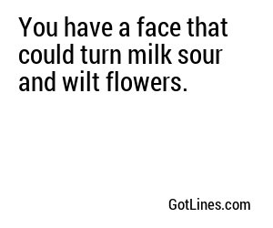 You have a face that could turn milk sour and wilt flowers.
