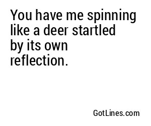 You have me spinning like a deer startled by its own reflection.