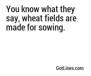 You know what they say, wheat fields are made for sowing.
