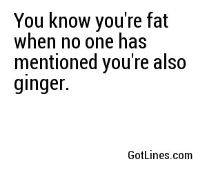 You know you're fat when no one has mentioned you're also ginger.