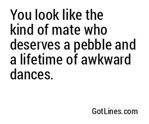 You look like the kind of mate who deserves a pebble and a lifetime of awkward dances.