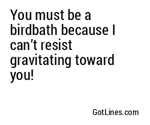 You must be a birdbath because I can’t resist gravitating toward you!