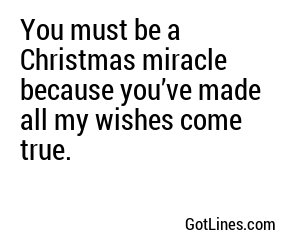 You must be a Christmas miracle because you’ve made all my wishes come true.
