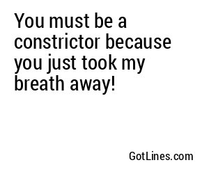 You must be a constrictor because you just took my breath away!
