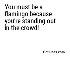 You must be a flamingo because you’re standing out in the crowd!