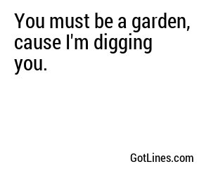 You must be a garden, cause I'm digging you.
