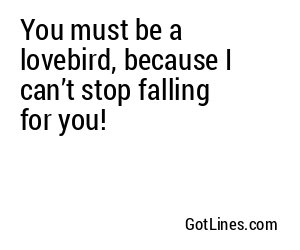 You must be a lovebird, because I can’t stop falling for you!