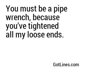 You must be a pipe wrench, because you’ve tightened all my loose ends.
