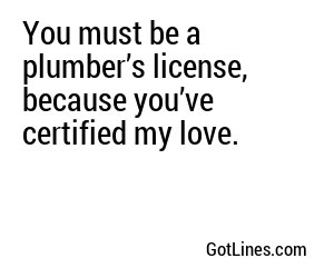 You must be a plumber’s license, because you’ve certified my love.
