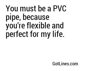 You must be a PVC pipe, because you’re flexible and perfect for my life.

