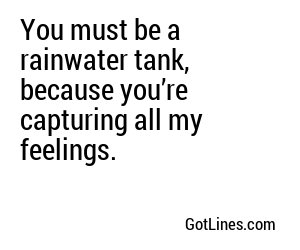 You must be a rainwater tank, because you’re capturing all my feelings.
