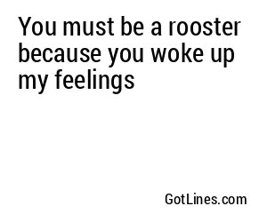 You must be a rooster because you woke up my feelings