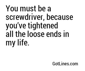You must be a screwdriver, because you’ve tightened all the loose ends in my life.
