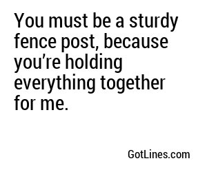 You must be a sturdy fence post, because you’re holding everything together for me.
