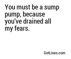 You must be a sump pump, because you’ve drained all my fears.
