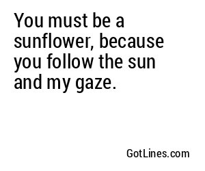 You must be a sunflower, because you follow the sun and my gaze.