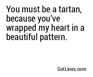 You must be a tartan, because you’ve wrapped my heart in a beautiful pattern.