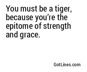 You must be a tiger, because you’re the epitome of strength and grace.
