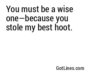 You must be a wise one—because you stole my best hoot.