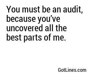 You must be an audit, because you’ve uncovered all the best parts of me.
