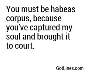 You must be habeas corpus, because you’ve captured my soul and brought it to court.
