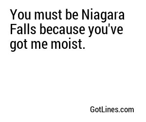 You must be Niagara Falls because you've got me moist.
