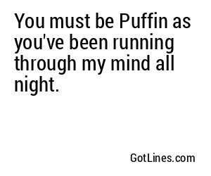 You must be Puffin as you've been running through my mind all night.