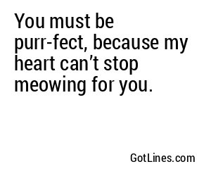 You must be purr-fect, because my heart can’t stop meowing for you.