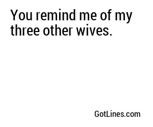 You remind me of my three other wives.
