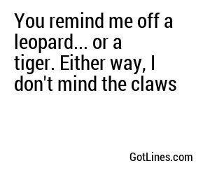 You remind me off a leopard... or a tiger. Either way, I don't mind the claws
