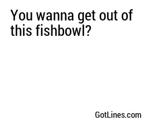 You wanna get out of this fishbowl?
