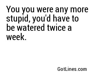 You you were any more stupid, you'd have to be watered twice a week.